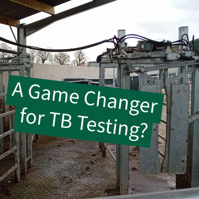Stress-Free TB Testing with Remote Control Yokes
